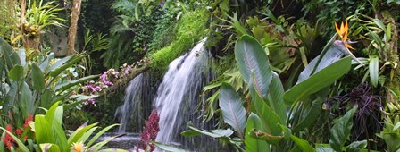 orchideeënhoeve